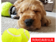 网球厂家供应化纤面料网球 训练宠物网球批发 宠物啃咬练习网球图2