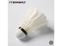 ITSMART羽毛球6/12只装耐打训练用球鸭毛羽室内外比赛用球打不烂图2