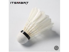 ITSMART羽毛球6/12只装耐打训练用球鸭毛羽室内外比赛用球打不烂图3