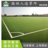【疫情期促销】中小学专用运动场地足球场人造草坪