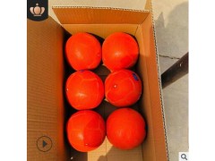 中考专用实心球 软式可充气2kg实心球中小学中考训练批发实心球图3