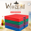 加厚新款垫海绵垫仰卧起坐健身垫武术空翻垫折叠体操垫子