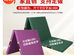 定制儿童舞蹈垫体操垫运动健身垫仰卧起坐瑜伽垫跳高武术空翻垫子图2