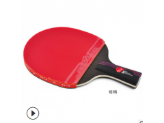 入门级碳素底板胶皮 729新材料兵乓球用品批发 送拍套包 乒乓球拍图2