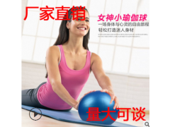 加厚防爆磨砂夹背球麦管球体操球健身球瑜伽球25cm普拉提小球
