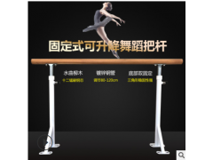 厂家直销专业舞蹈房健身房儿童家用落地固定式升降压腿舞蹈把杆图2