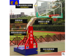 平箱仿液压篮球架 成人 室内 室外移动篮球架 户外标准比赛蓝球架图2