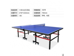 室内高档比赛移动乒乓球台 学校用可折叠科移动乒乓球桌图2