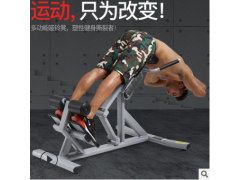 鑫聚力商用罗马椅罗马凳健身椅专业山羊挺身腰部腹肌背肌训练器图2