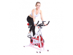 动感单车家用室内车减肥健身器材静音单车磁控健身车