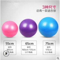 瑜伽球加厚防爆普拉提球平衡球 25/55/65/75cm健身球可定制