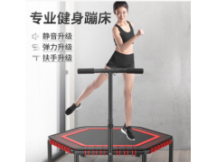 批发零售蹦蹦床家 网面蹦蹦床运动跳床 用成人儿童弹力绳跳床扶手图3