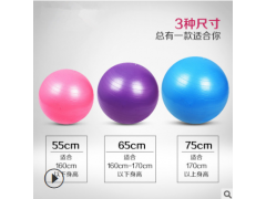 瑜伽球分娩球普拉提球平衡球 45/55/65/75cm健身球可定制Logo图3