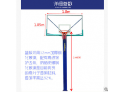 篮球架器具厂家直销成人休闲独臂篮球架体育器材方管移动篮球架图3