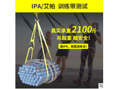 专业款悬挂式训练带多功能拉力绳阻力带拉力带核心力量家用健身器图2