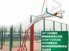 篮球架室外落地式家用标准篮球框成人户外可升降移动训练式篮球架图3