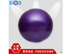瑜伽球 全身瑜伽肌肉放松瑜伽球 瑜伽球45cm55cm65cm瑜伽馆健身球图2