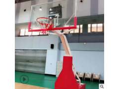 厂家直销 液压篮球架球场比赛专用篮球架可移动式篮球架可定制图2