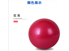 厂家直销瑜伽球 健身球 环保加厚瑜伽球 瑜伽防爆健身球图1