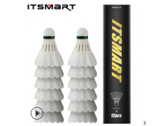 ITSARMT耐打羽毛球台纤头训练球羽毛球家庭娱乐型12只装