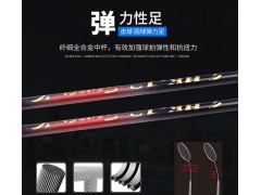 批发全碳素羽毛球拍双拍初学超轻成人耐用进攻型耐打球拍图3