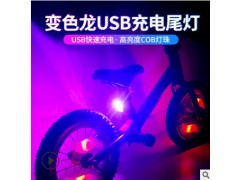 儿童平衡车灯辐条灯满天星串灯 轮组灯夜间警示灯七彩炫酷风火轮图2