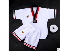 跆拳道护具五件套适合成人儿童比赛搏击格斗泰拳专业竞技比赛装备图2