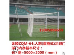 金陵五人制足球门12200-ZQM-3A配送网室外室内用 金陵7人制足球门图3