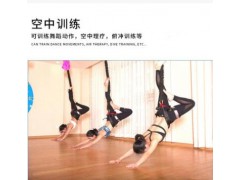 5D悬挂式舞蹈健身活力带 室内蹦极绳 瑜伽馆专用 空中瑜伽魔力绳图3
