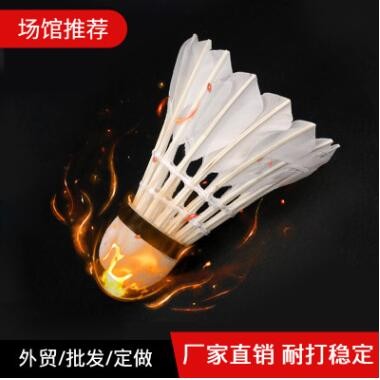 比赛尼龙羽毛球耐打学生室内运动体育器材鹅毛防风十二只装羽毛球图1