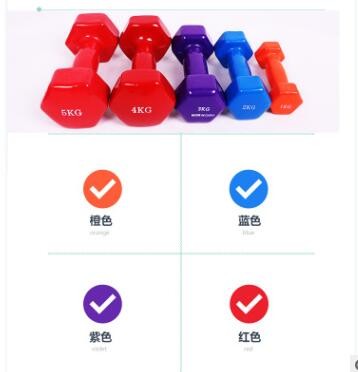 六棱哑铃套装健身锻炼家用瑜伽训练器械铸铁负重练肌用具固定哑铃图2
