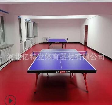 乒乓球桌室内家用球馆俱乐部标准比赛小彩虹折叠式T2828乒乓球台