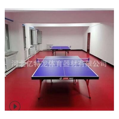 乒乓球桌室内家用球馆俱乐部标准比赛小彩虹折叠式T2828乒乓球台
