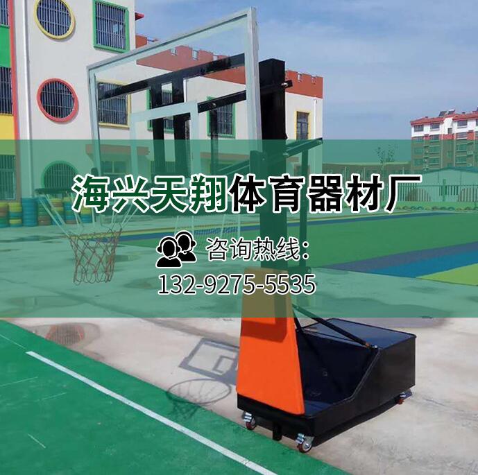 多功能篮球架 足球门篮球架组合 成人篮球架 户外篮球架育器材图2
