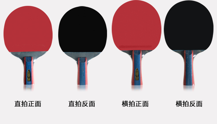 雷克斯2星乒拍-9.jpg