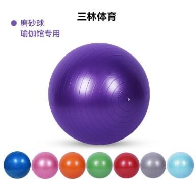 同款PVC瑜伽健身球麦管球含唛球瑜伽辅助用品瑜伽健身器PVC球