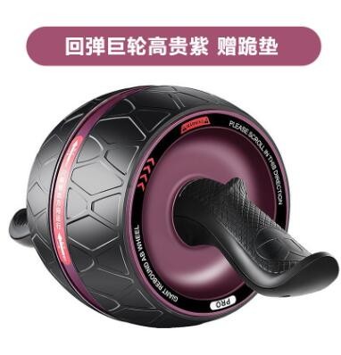 健腹轮回弹轮男女士家用静音健身器材跨境送跪垫腹肌轮图2