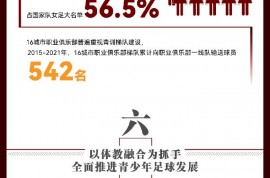 长图看懂16座足球重点城市：拥有超30家职业俱乐部，17座专业球场