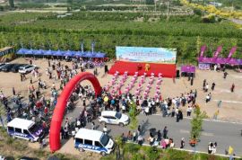 五莲县第十三届全民健身运动会成功举办