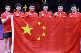 乒乓球——男子团体：中国队夺冠（1）